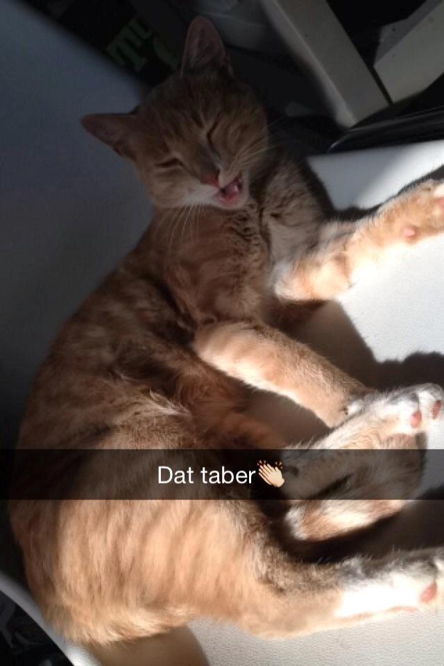 Huskat Anton..<3 billede 16