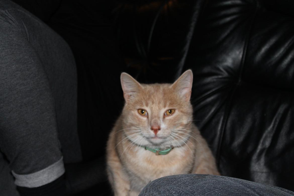 Huskat Anton..<3 billede 22