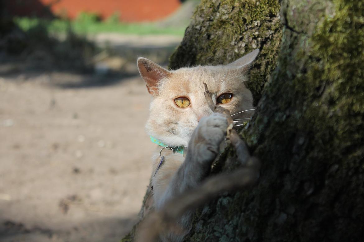 Huskat Anton..<3 billede 24