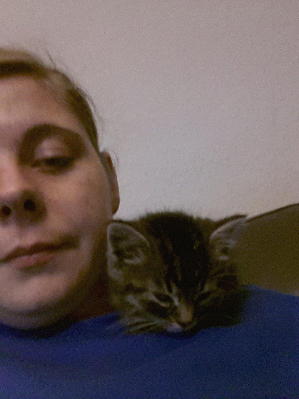 Huskat Mini billede 5