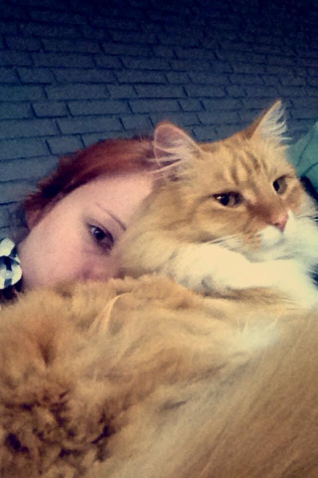 Blanding af racer Pjuske billede 31