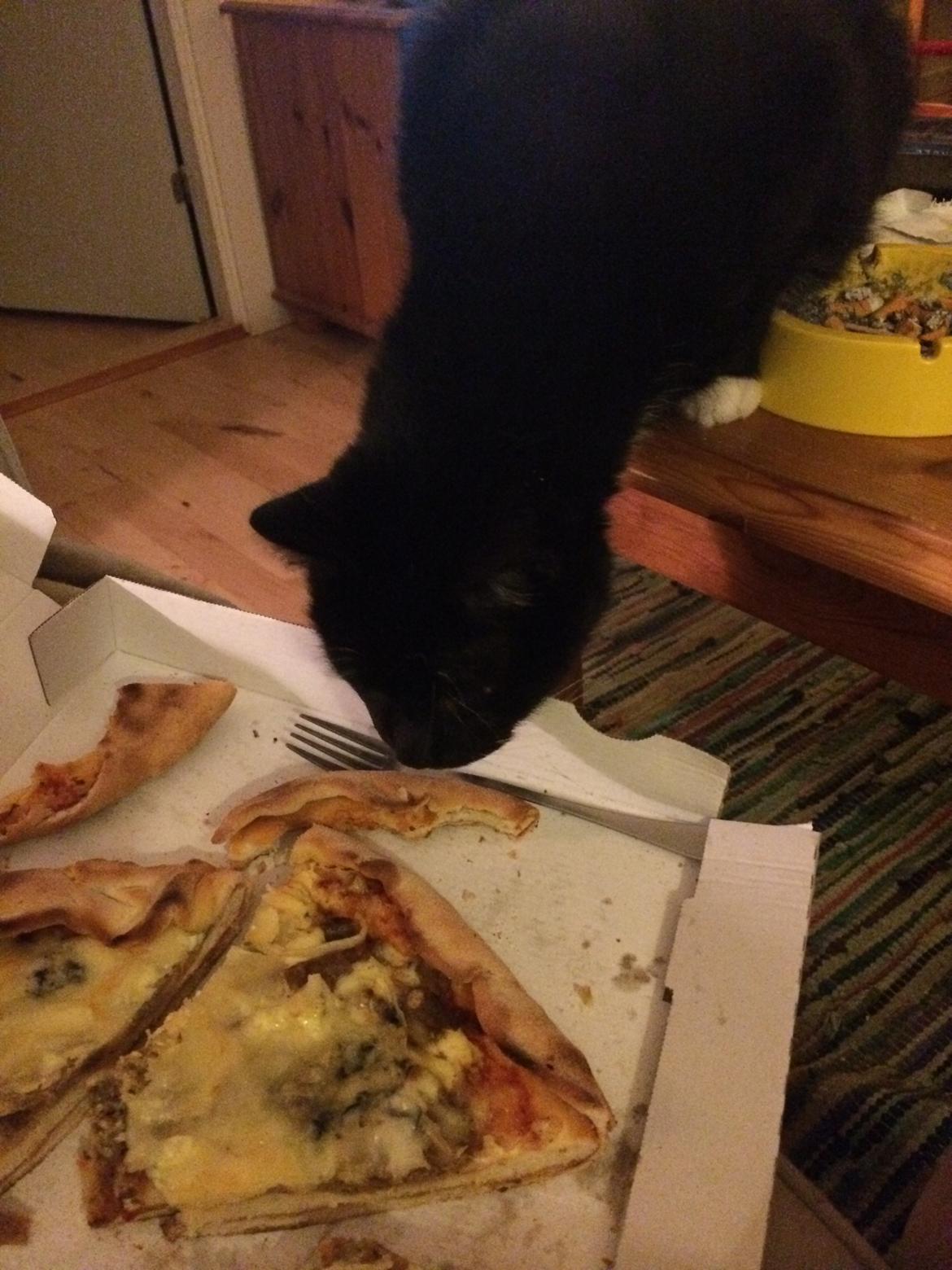 Huskat Olivar billede 10