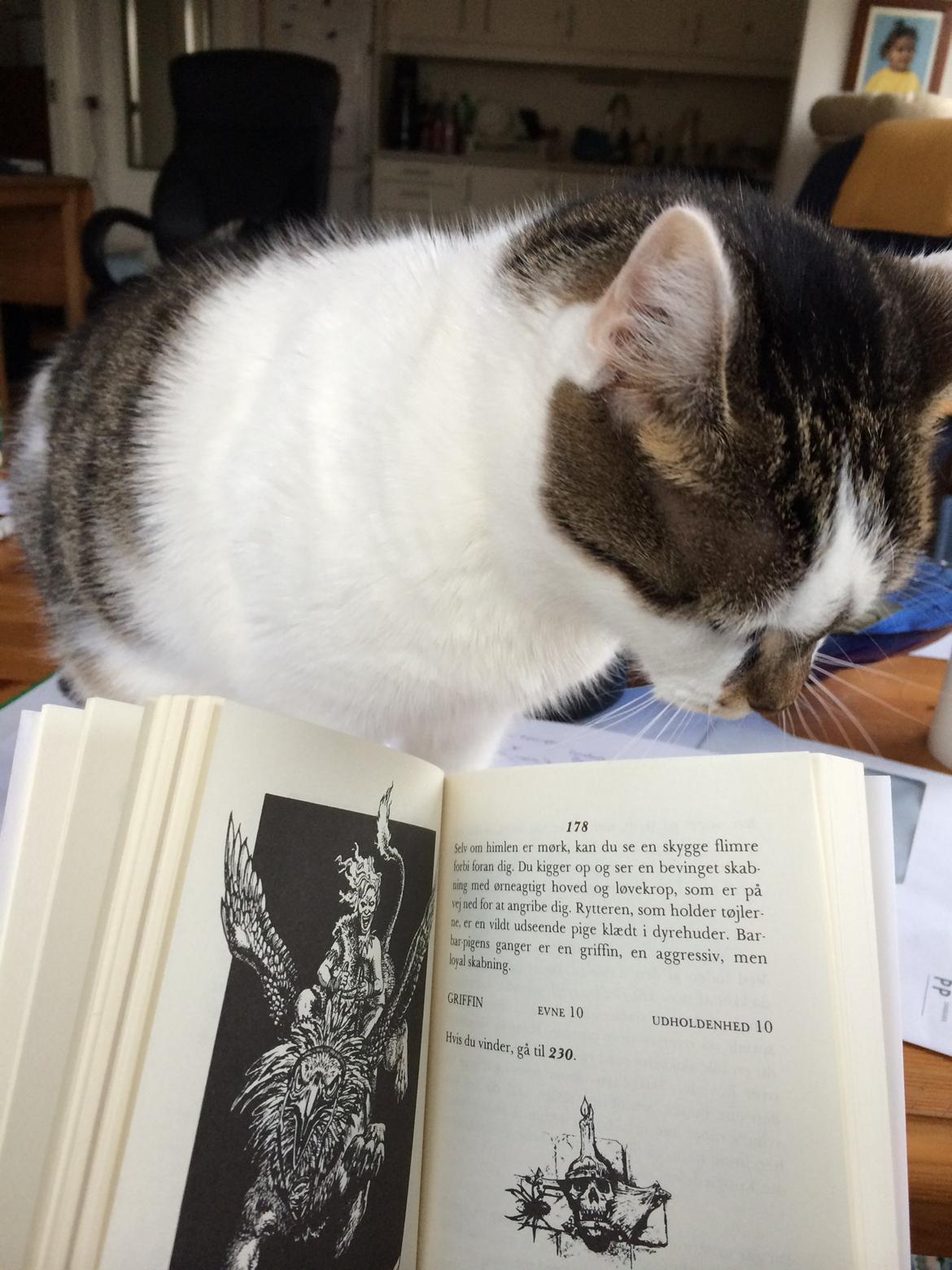 Huskat Ludvig billede 8