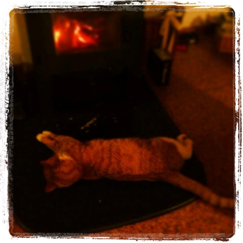 Blanding af racer Buddha R.I.P billede 7