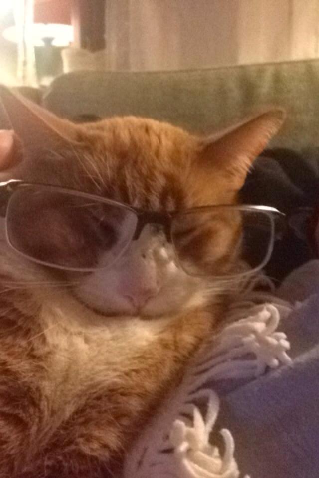 Blanding af racer Buddha R.I.P billede 1