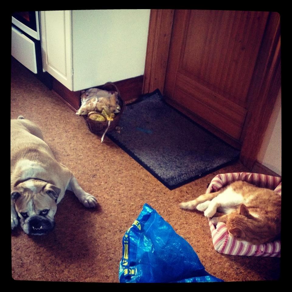 Blanding af racer Buddha R.I.P billede 14