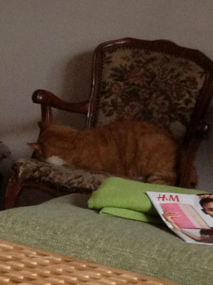 Blanding af racer Buddha R.I.P billede 15