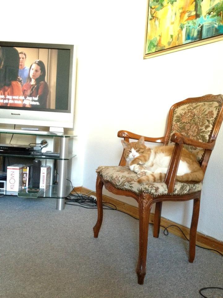 Blanding af racer Buddha R.I.P billede 18