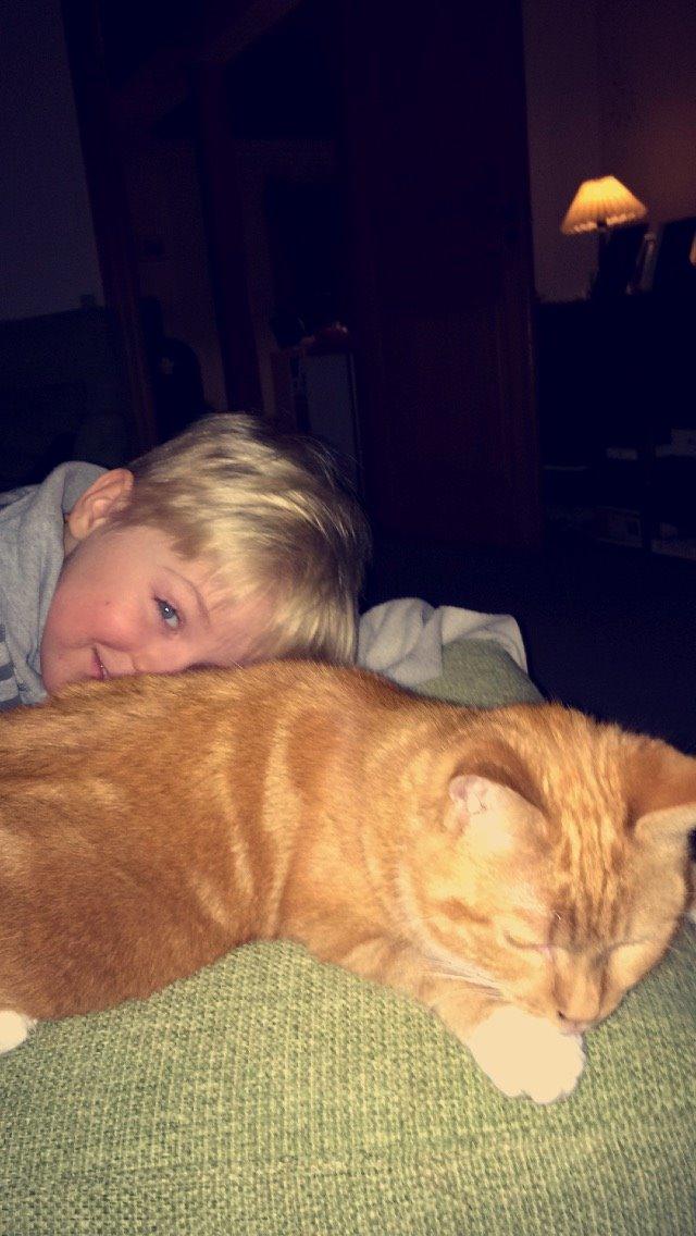 Blanding af racer Budding r.i.p billede 28