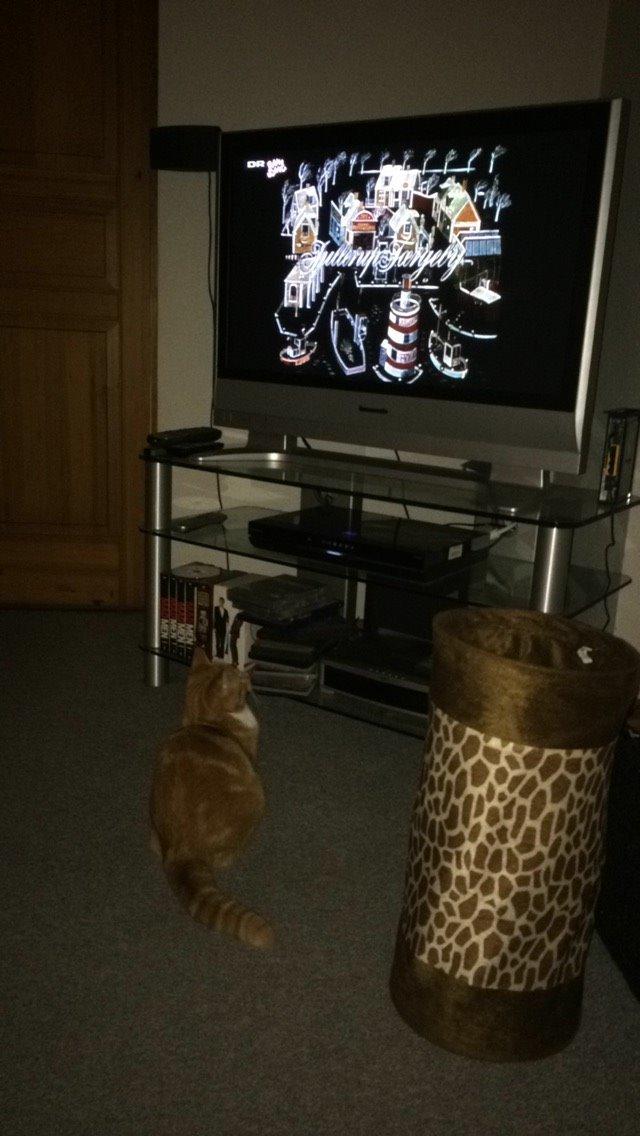 Blanding af racer Budding r.i.p billede 39