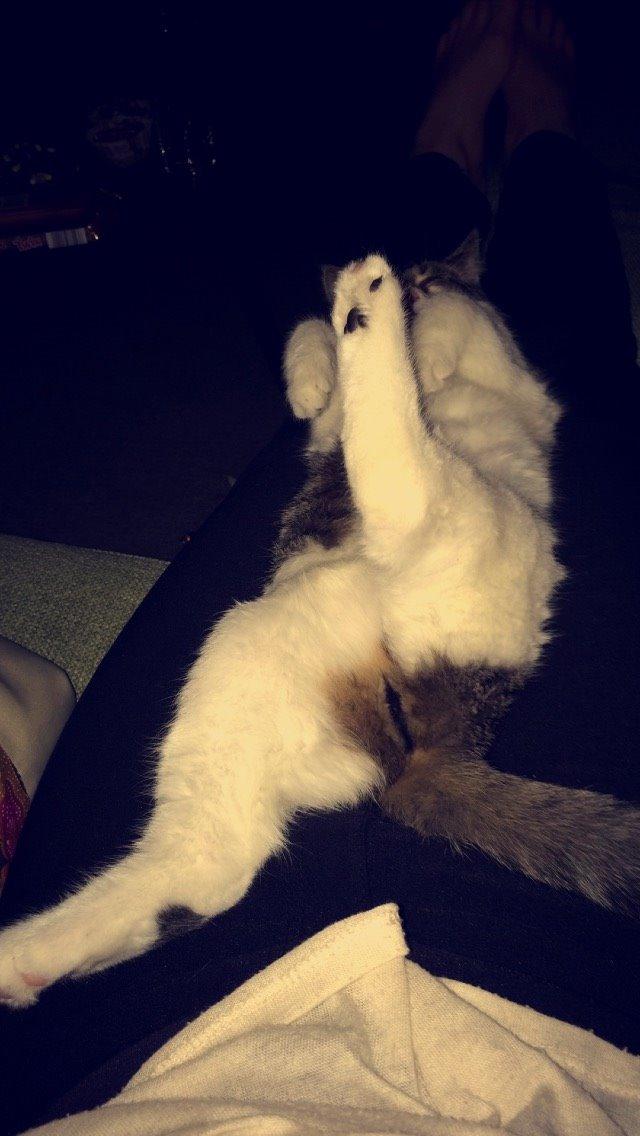 Blanding af racer Storm billede 18