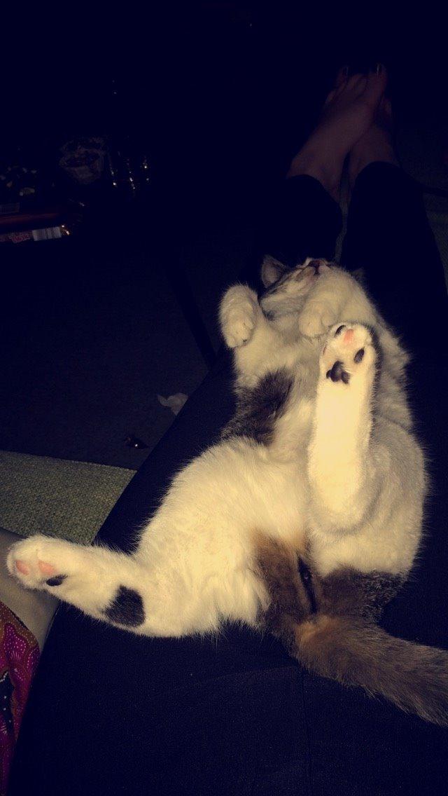 Blanding af racer Storm billede 19