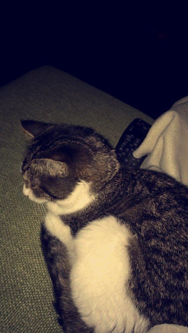 Blanding af racer Storm billede 30