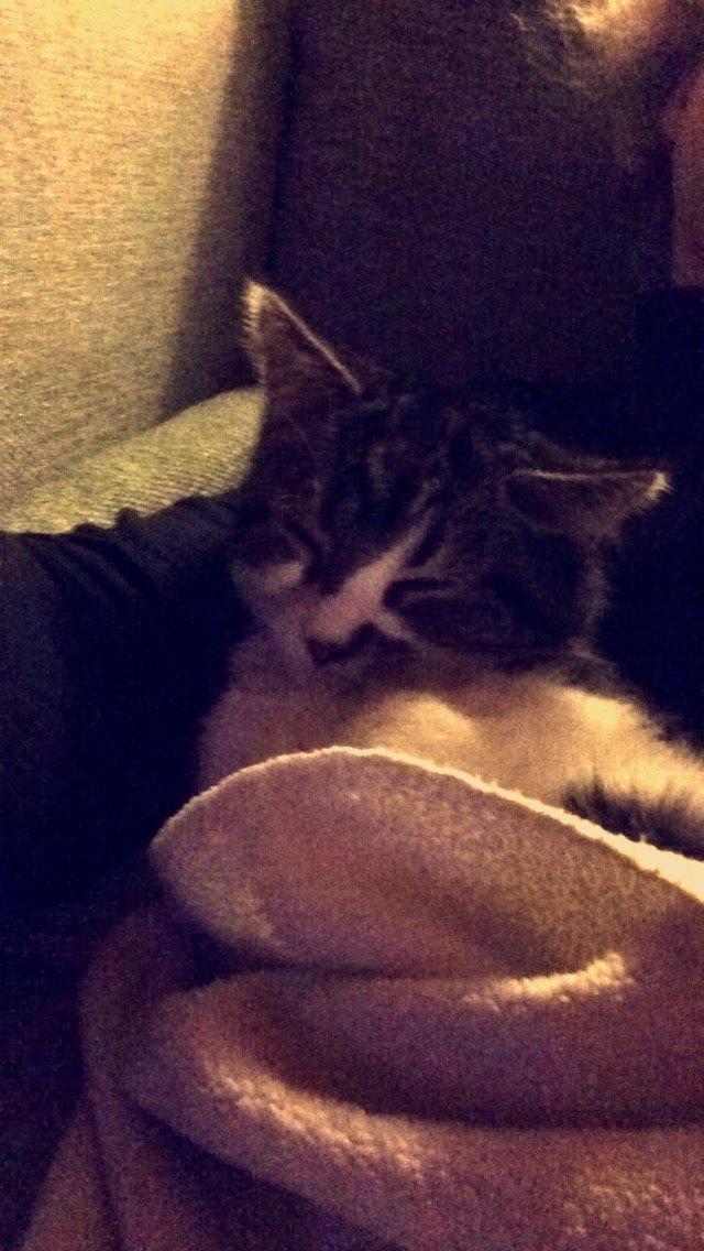 Blanding af racer Storm billede 32