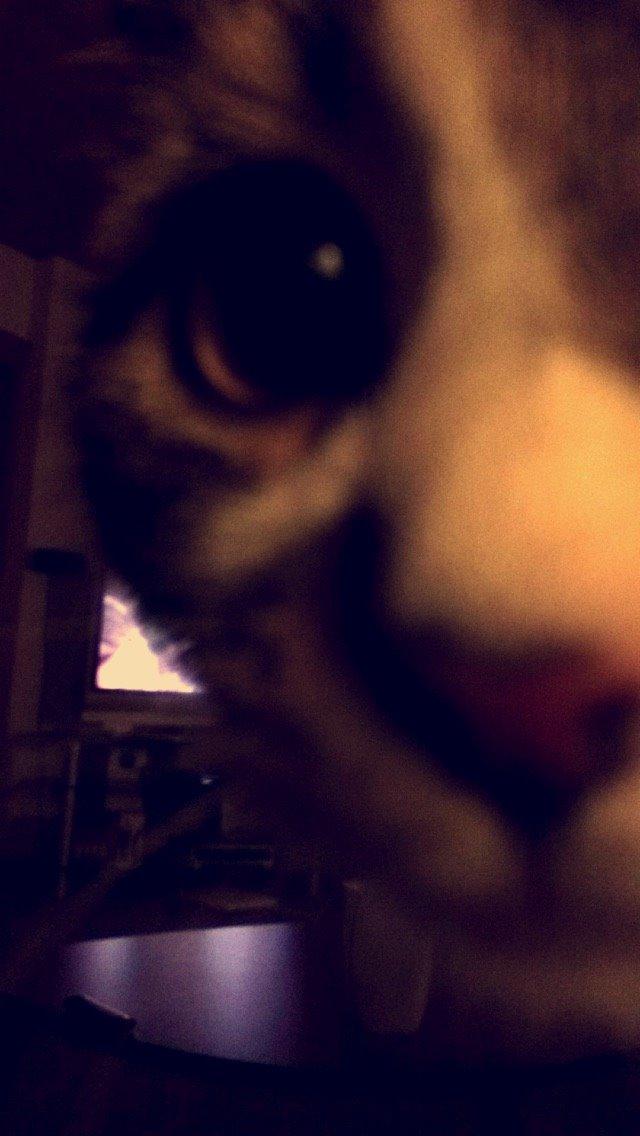 Blanding af racer Storm billede 38