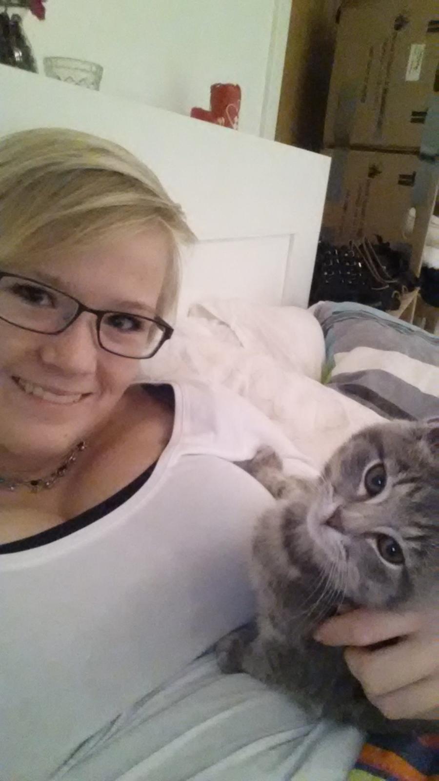 Huskat Lucifer billede 8