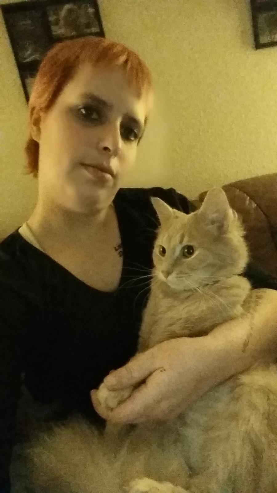 Maine Coon Tiger billede 20