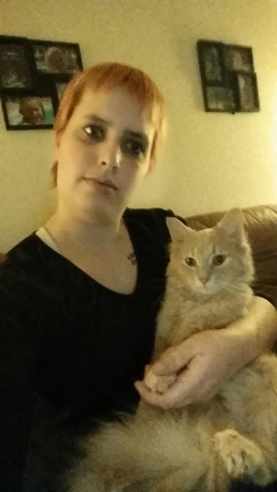 Maine Coon Tiger billede 21