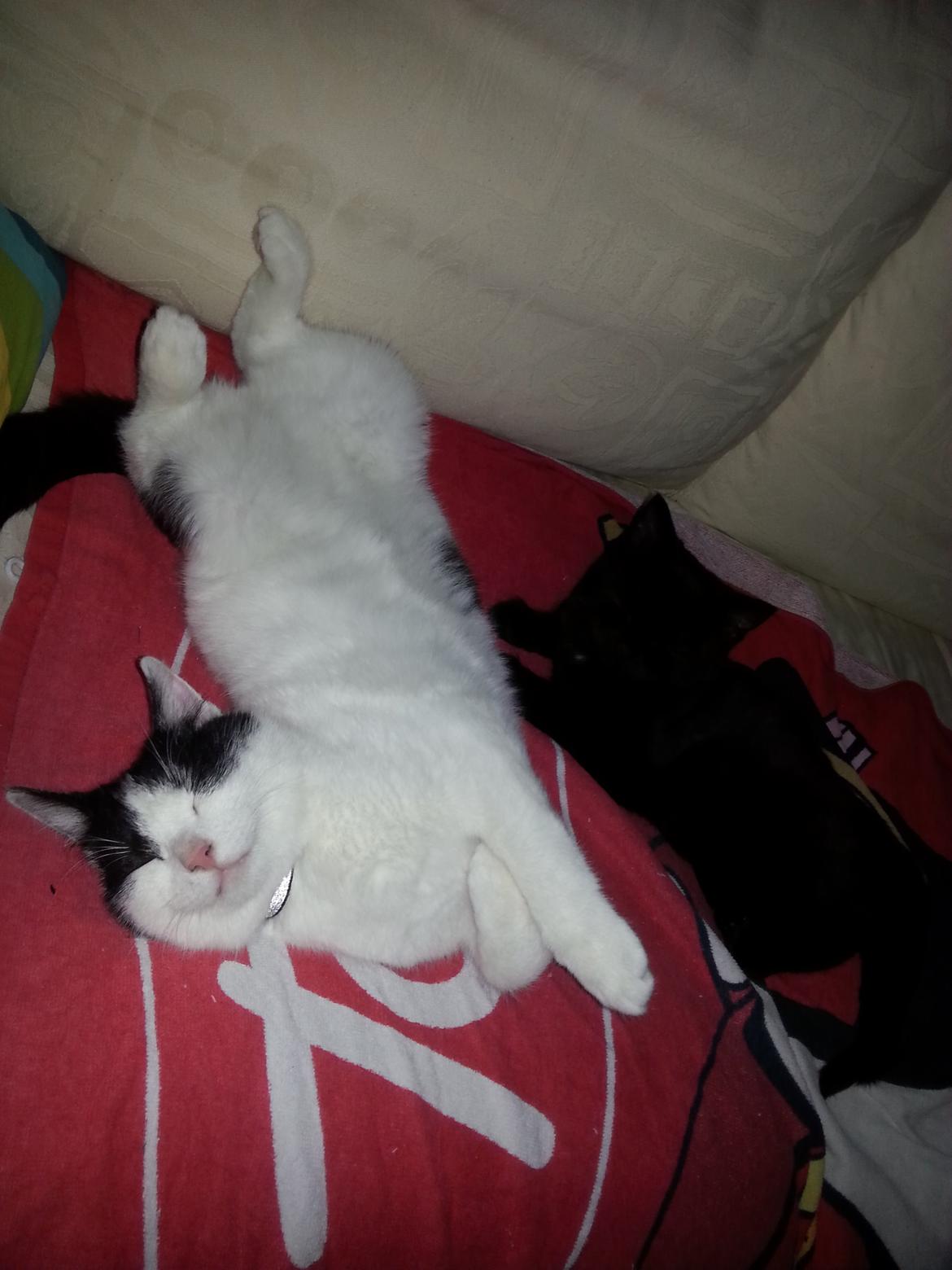 Huskat MY - <3 der bliver bare hygge <3   dec 2014 billede 28