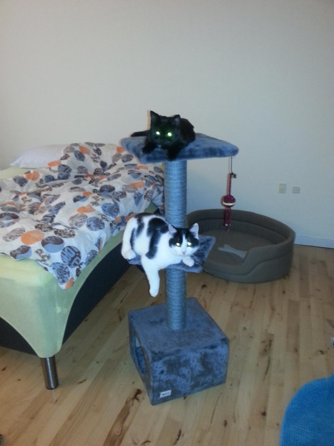 Huskat MY - 24 dec 2014 billede 32