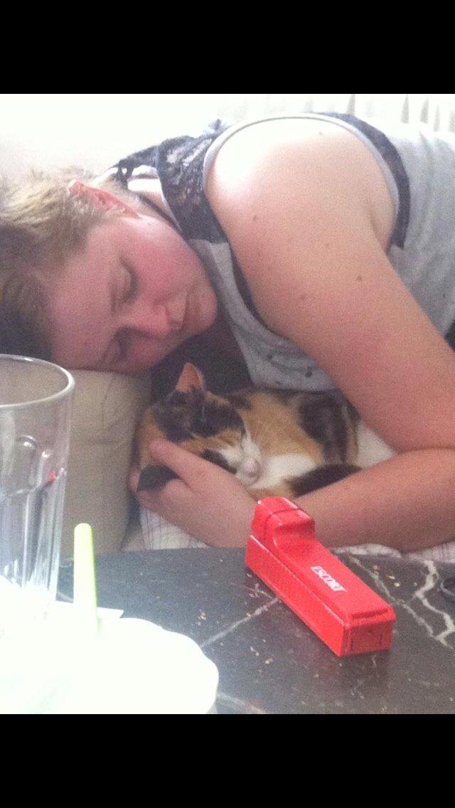 Huskat Kitty billede 7