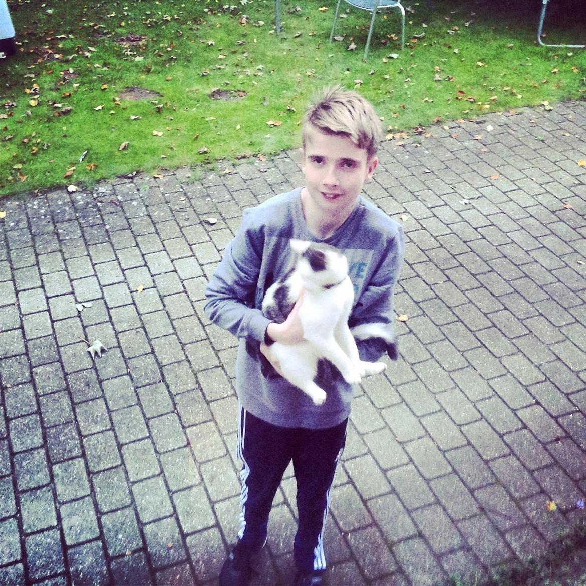 Huskat Mis  billede 10