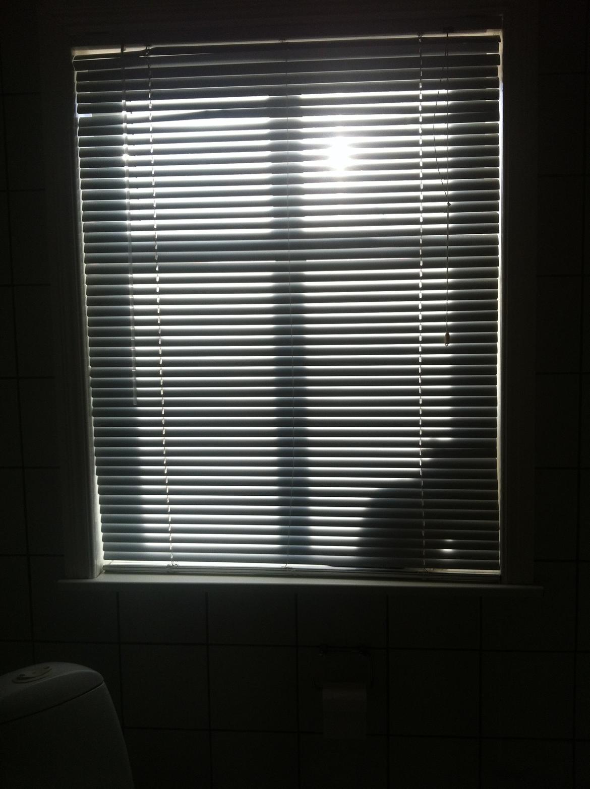 Blanding af racer Miska billede 5