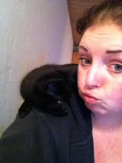 Huskat Fridjorf Nansen (Fritten) billede 2