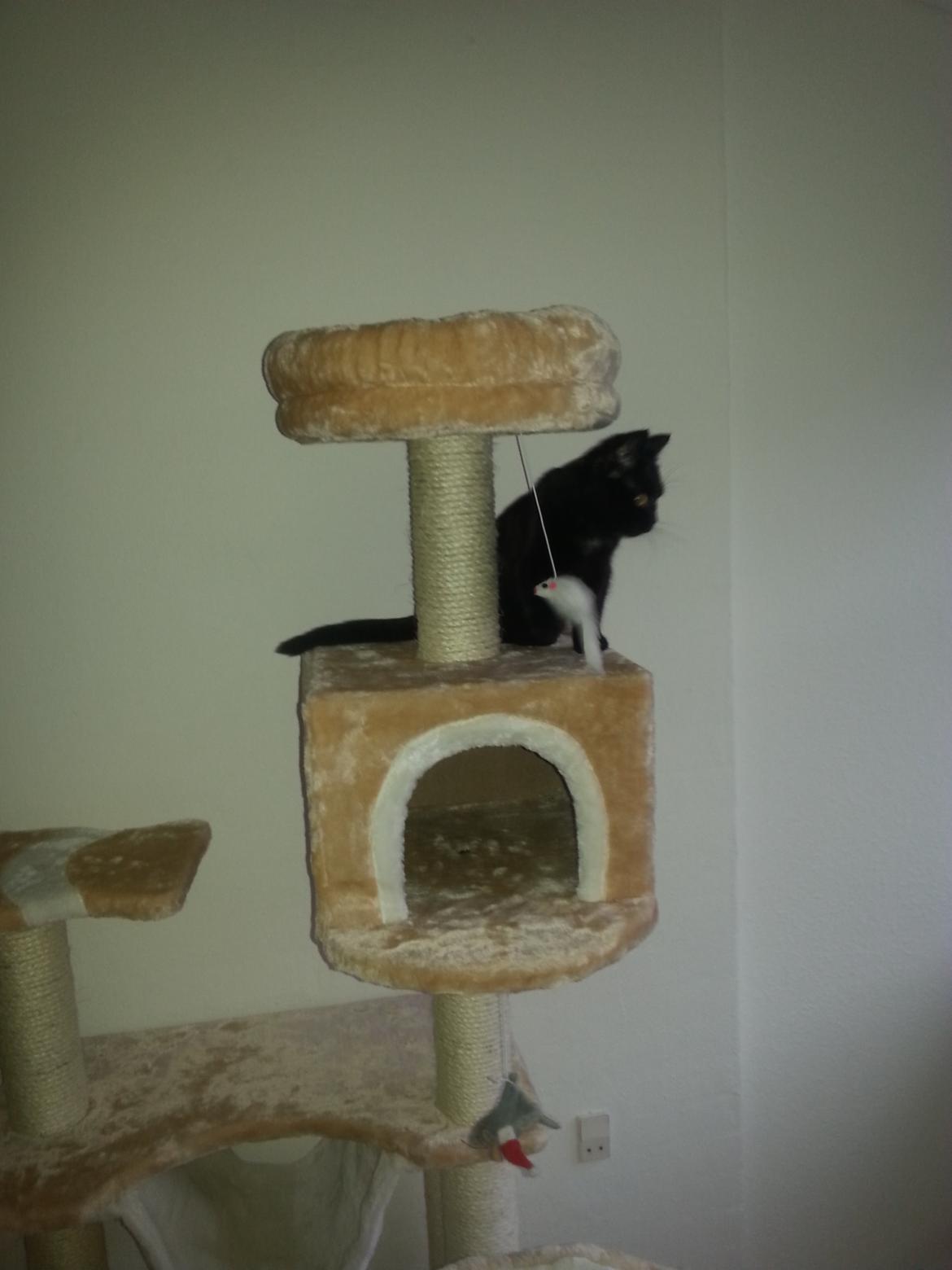 Huskat MY - januar 2015 billede 38