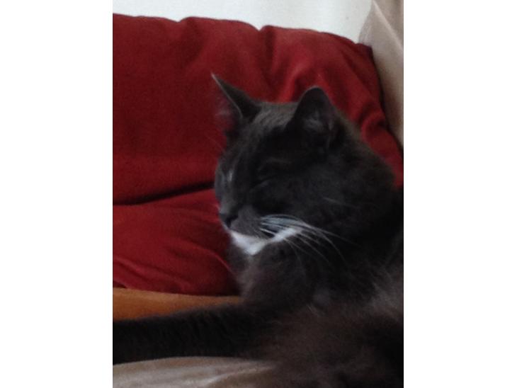 {{currentPhoto.altText}} billede {{currentPhoto.number}}