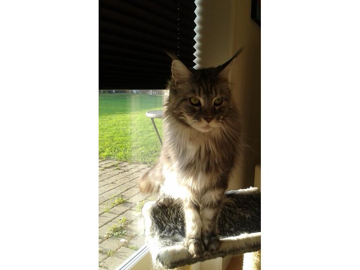 {{currentPhoto.altText}} billede {{currentPhoto.number}}