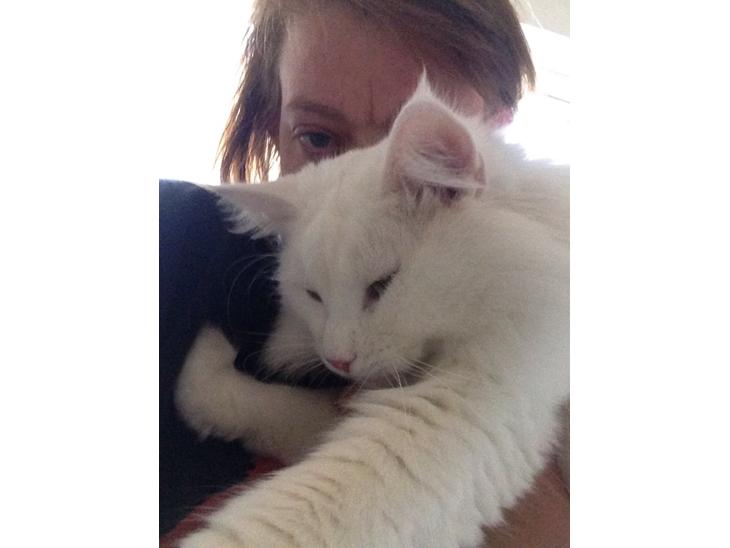 {{currentPhoto.altText}} billede {{currentPhoto.number}}