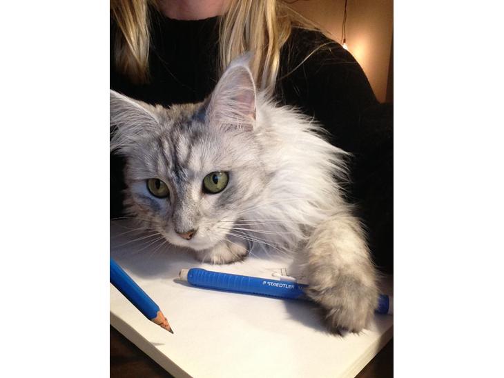 {{currentPhoto.altText}} billede {{currentPhoto.number}}