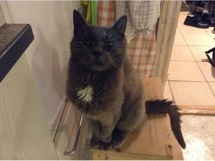 {{currentPhoto.altText}} billede {{currentPhoto.number}}