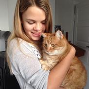 Blanding af racer Tjuba