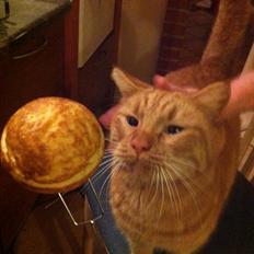 Blanding af racer Max