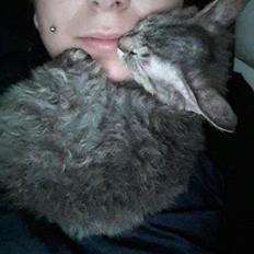 Munchkin Lille Kat