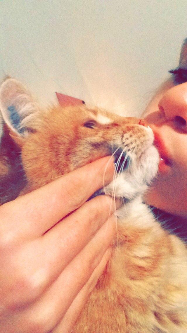 Blanding af racer Tjuba billede 7