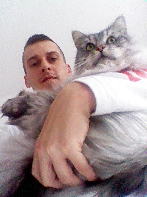 Maine Coon Liva billede 10