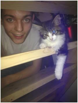 Maine Coon Saluz billede 5