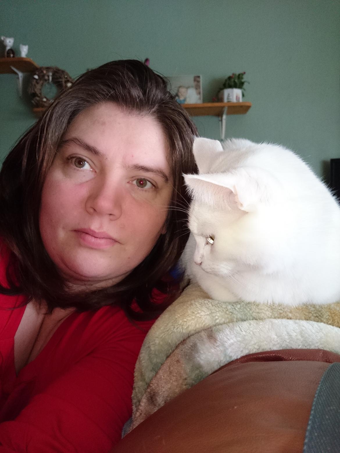 Blanding af racer Max billede 38