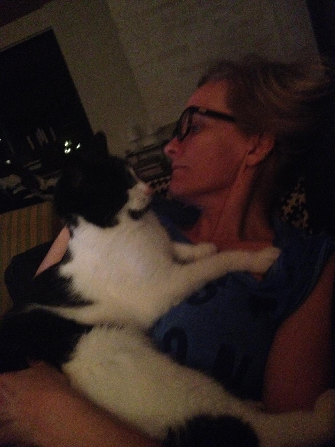 Blanding af racer Kait mæit AKA Salsa billede 5