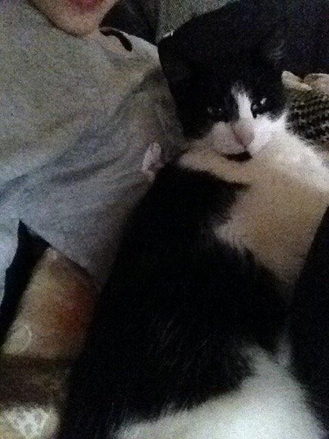 Blanding af racer Kait mæit AKA Salsa billede 7