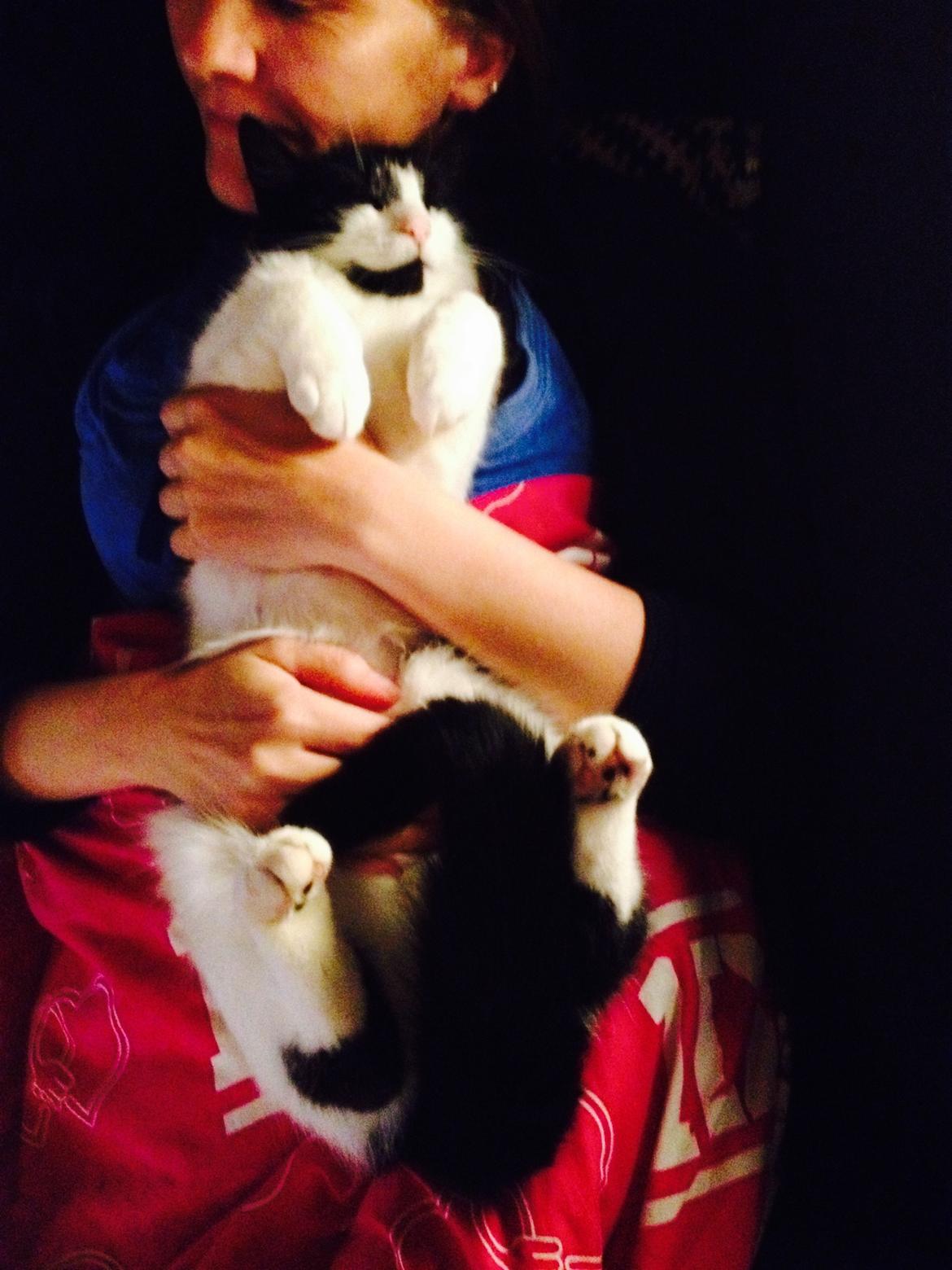 Blanding af racer Kait mæit AKA Salsa billede 8