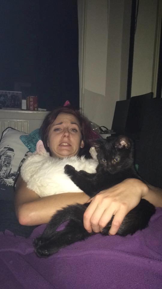 Huskat Maysi billede 5