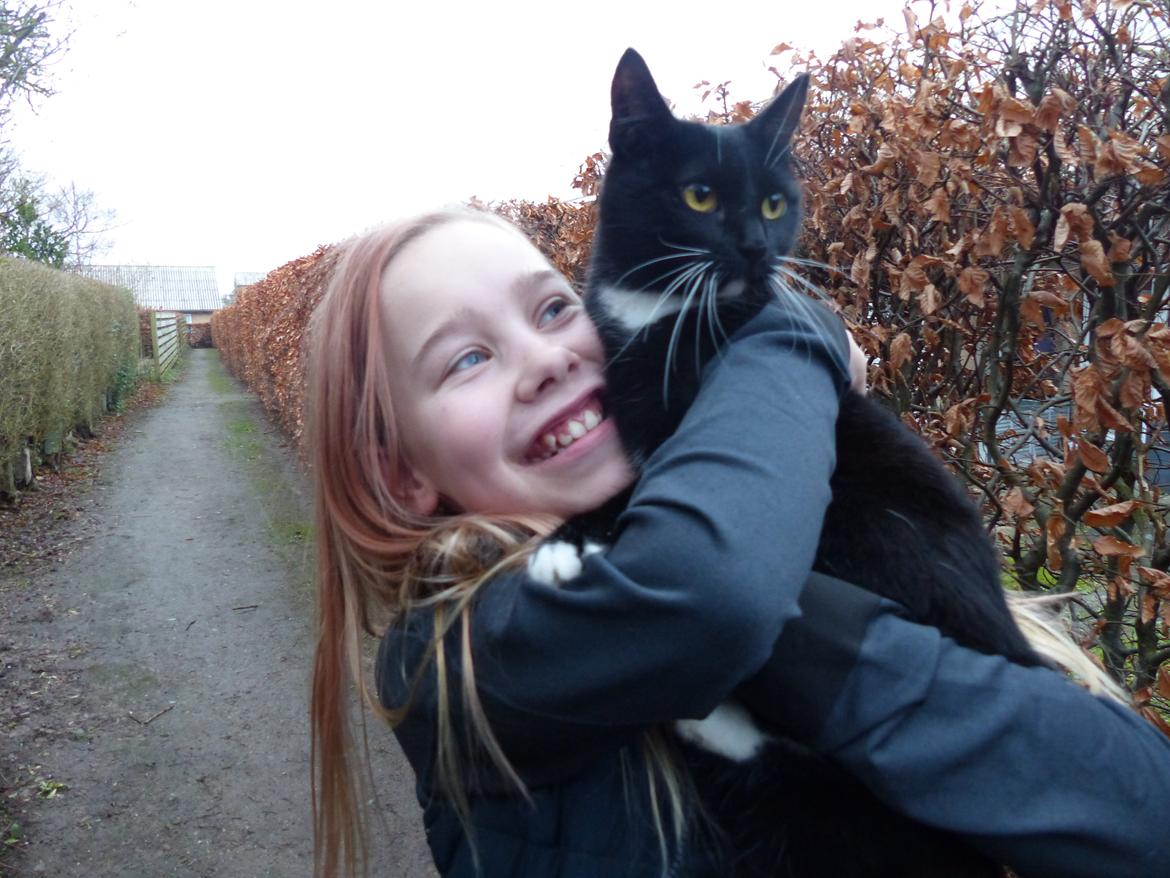 Blanding af racer Kattegårdens Dipsey aka. Snip R.I.P billede 9