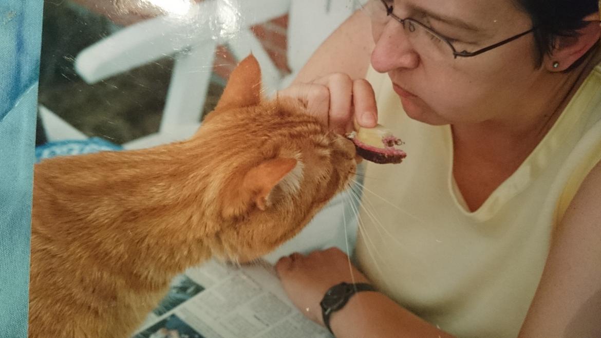 Blanding af racer Garfield  - garfields indianer navn, var rappe tunge  billede 1