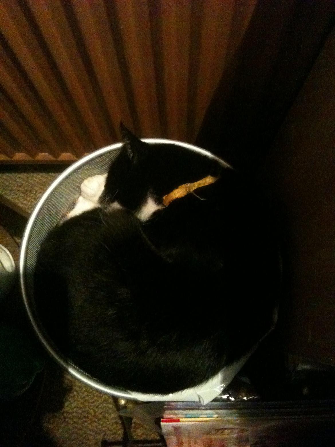 Huskat Kællepot billede 2