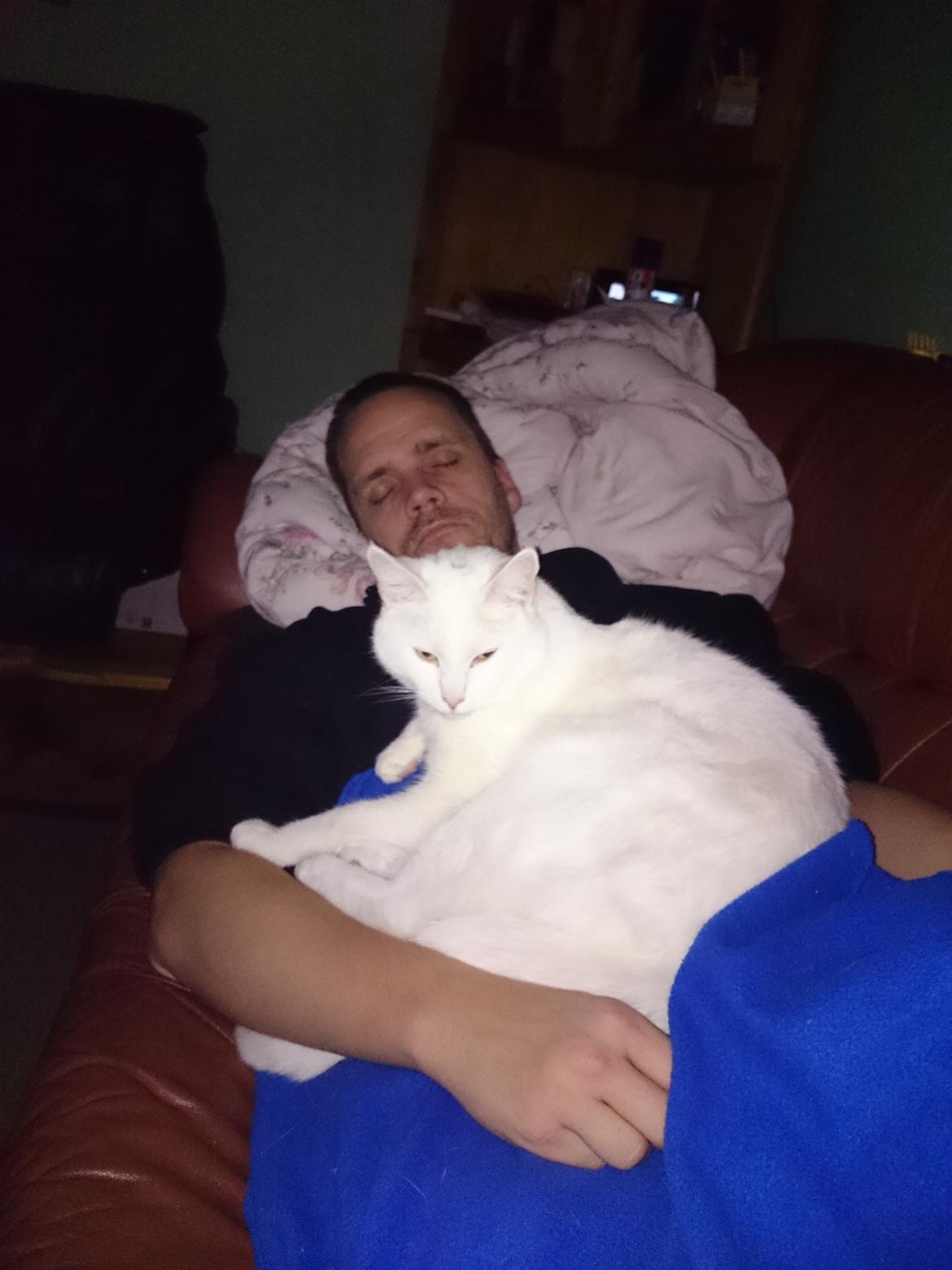 Blanding af racer Max billede 42