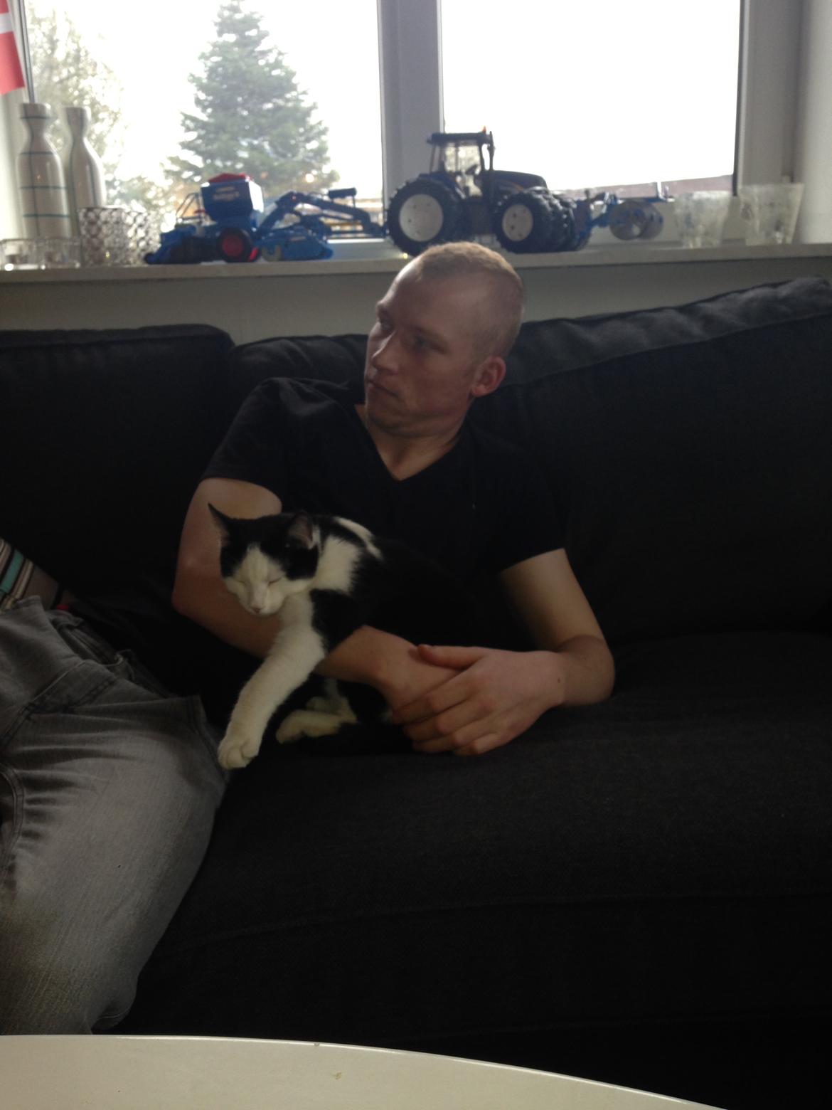 Huskat Husky billede 27